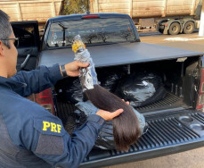 PRF apreende carga de cabelo avaliada em R$ 374 mil