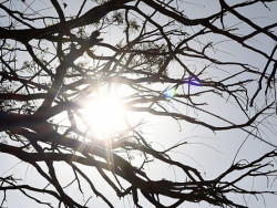 Em Dourados, 19°C pela manhã e 37ºC pela tarde (Foto: Assessoria)