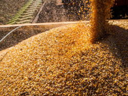 Resultado é 17,4% maior que total colhido na safra anterior (Foto: Agência Brasil)