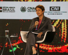 Tereza ataca Marina e vê “ambientalismo ideológico” para salvar Pantanal