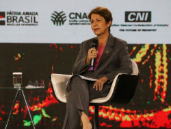 Tereza ataca Marina e vê “ambientalismo ideológico” para salvar Pantanal