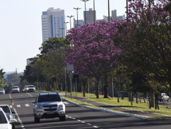 Em Dourados, 19°C pela manhã e 26ºC pela tarde (Foto: Assessoria)