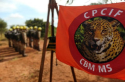 O curso será teórico e prático, com aulas tanto em Campo Grande como em Corumbá (Foto: Reprodução)