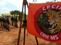 O curso será teórico e prático, com aulas tanto em Campo Grande como em Corumbá (Foto: Reprodução)