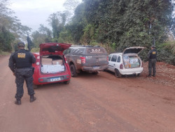 Policiais durante ação que apreendeu produtos avaliados em R$290 mil (Foto: Assessoria/DOF)