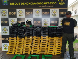 Droga apreendida pelo DOF (Foto: Assessoria/DOF)