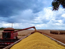 Conab estima crescimento de 23,3% na produção de grãos em MS