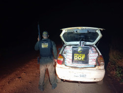DOF apreende mais de R$ 100 mil em cigarros contrabandeados em Dourados