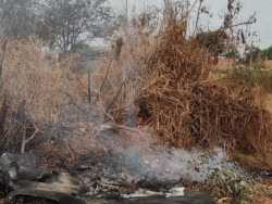 Prefeitura pede para população denunciar queimadas irregulares