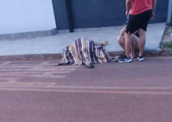 Ex-presidiário é morto por 2 pistoleiros ao sair de casa na fronteira