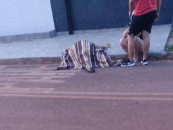 Ex-presidiário é morto por 2 pistoleiros ao sair de casa na fronteira