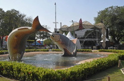 Festival valoriza artistas locais que abrem principais shows em Bonito