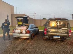 Carga de cigarros avaliada em R$38 mil é apreendida pelo DOF