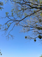 Apesar de previsão de sol, chuvas não são descartadas nesta sexta-feira