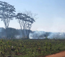 Vereador defende frente parlamentar para intermediar conflito por terras