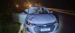 Pedestre morre atropelado por carro na MS-395