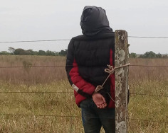 Arrastador de carros é capturado por peões e amarrado em cerca