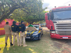 Motorista paranaense é preso com 66 quilos de cocaína em carreta
