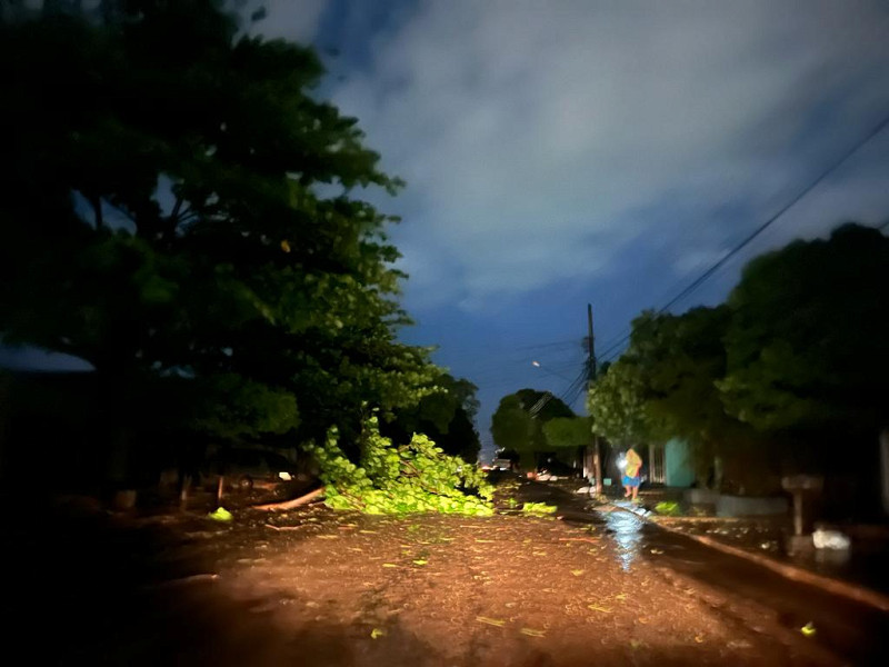 Temporal Derruba Rvores Destelha Casas E Deixa Bairros No Escuro