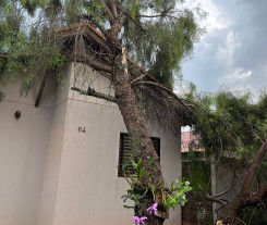 Temporal de ontem à noite destruiu casas inteiras em Dourados
