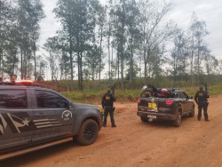 Número de veículos recuperados pelo DOF dobra em 2023